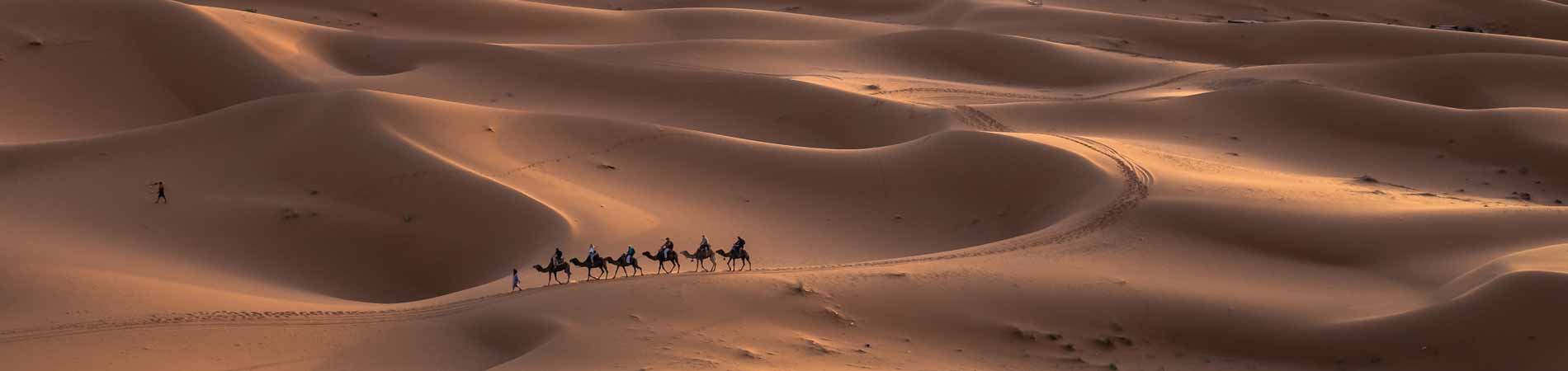 How to get Visa to Saudi Arabia from USA